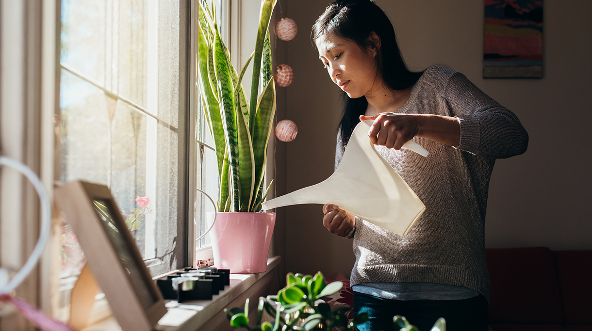 Woman watering plant