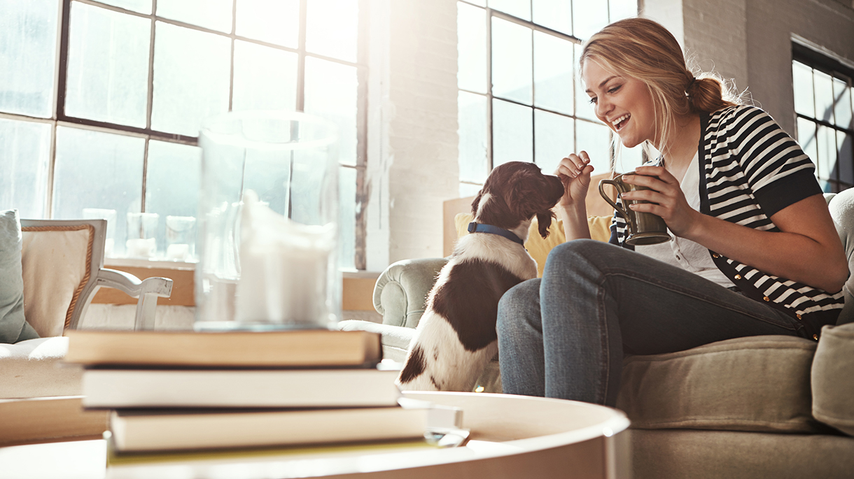 Woman playing with dog